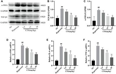 Cryptotanshinone affects HFL-1 cells proliferation by inhibiting cytokines secretion in RAW264.7 cells and ameliorates inflammation and fibrosis in newborn rats with hyperoxia induced lung injury